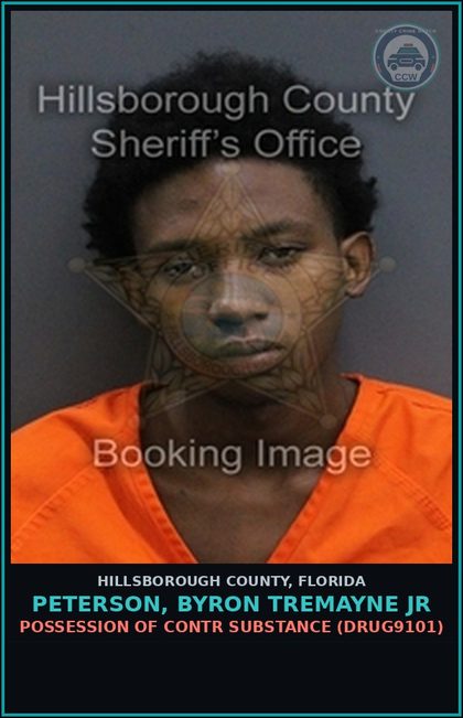 CCW arrest card for PETERSON, BYRON TREMAYNE JR in Hillsborough County: POSSESSION OF contr substance (DRUG9101)