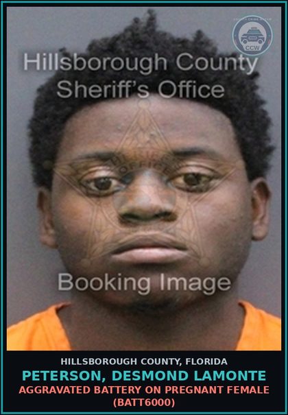 CCW arrest card for PETERSON, DESMOND LAMONTE in Hillsborough County: AGGRAVATED BATTERY ON PREGNANT FEMALE (BATT6000)