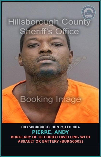 CCW arrest card for PIERRE, ANDY in Hillsborough County: CRIMINAL MISCHIEF (MORE THAN $200, LESS THAN $1,000) (CRMS2000)