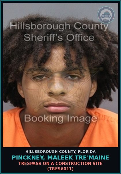 CCW arrest card for PINCKNEY, MALEEK TRE'MAINE in Hillsborough County: TRESPASS ON A CONSTRUCTION SITE (TRES6011)
