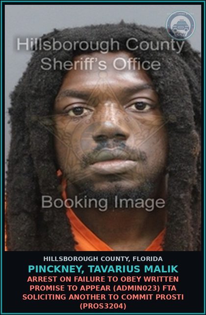 CCW arrest card for PINCKNEY, TAVARIUS MALIK in Hillsborough County: ARREST ON FAILURE TO OBEY WRITTEN PROMISE TO APPEAR (ADMIN023) FTA SOLICITING ANOTHER TO COMMIT Prosti (PROS3204)