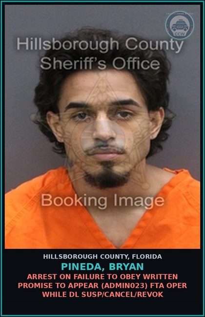 CCW arrest card for PINEDA, BRYAN in Hillsborough County: ARREST ON FAILURE TO OBEY WRITTEN PROMISE TO APPEAR (ADMIN023) FTA OPER WHILE DL SUSP/CANCEL/REVOK