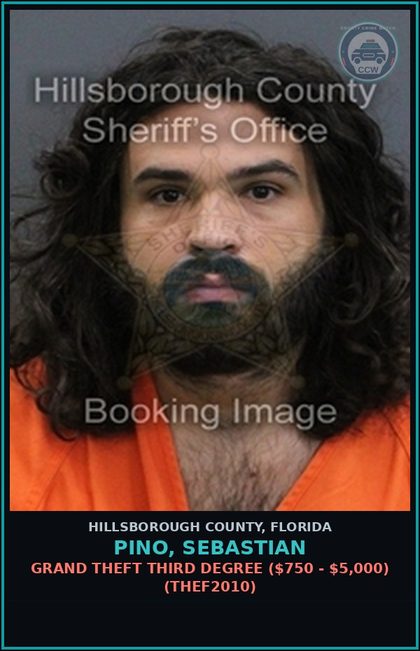 CCW arrest card for PINO, SEBASTIAN in Hillsborough County: GRAND THEFT THIRD DEGREE ($750 - $5,000) (THEF2010)