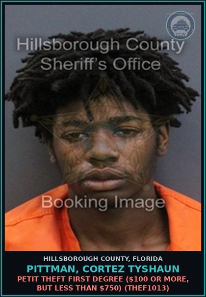 CCW arrest card for PITTMAN, CORTEZ TYSHAUN in Hillsborough County: PETIT THEFT FIRST DEGREE ($100 OR MORE, BUT LESS THAN $750) (THEF1013)