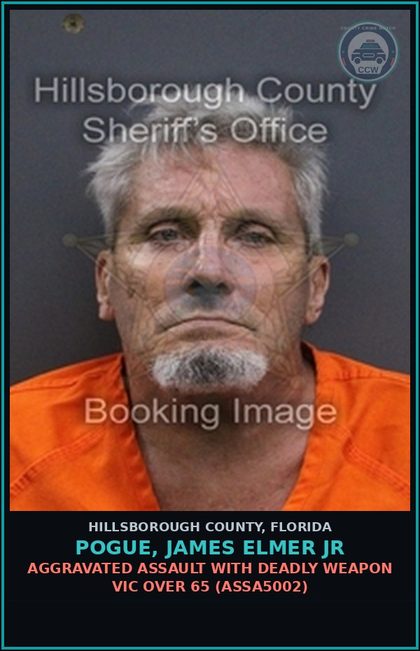 CCW arrest card for POGUE, JAMES ELMER JR in Hillsborough County: BATTERY (VICTIM OVER 65) (BATT1001)