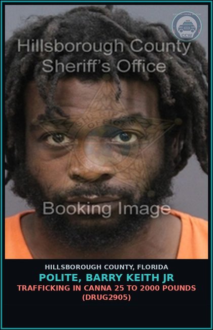 CCW arrest card for POLITE, BARRY KEITH JR in Hillsborough County: TRAFFICKING IN Canna 25 TO 2000 POUNDS (DRUG2905)