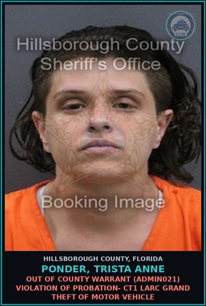CCW arrest card for PONDER, TRISTA ANNE in Hillsborough County: OUT OF COUNTY WARRANT (ADMIN021) VIOLATION OF PROBATION- CT1 LARC GRAND THEFT OF MOTOR VEHICLE