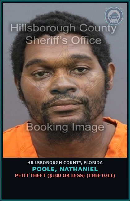 CCW arrest card for POOLE, NATHANIEL in Hillsborough County: PETIT THEFT ($100 OR LESS) (THEF1011)