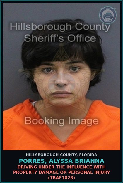 CCW arrest card for PORRES, ALYSSA BRIANNA in Hillsborough County: DRIVING UNDER THE INFLUENCE WITH PROPERTY DAMAGE OR PERSONAL INJURY (TRAF1028)