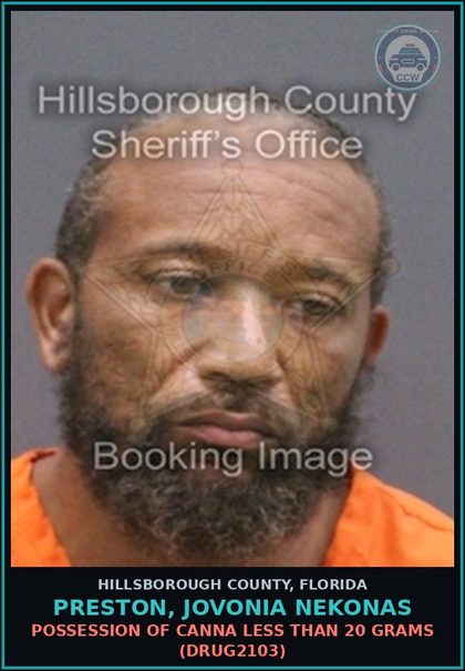 CCW arrest card for PRESTON, JOVONIA NEKONAS in Hillsborough County: TAMPERING WITH PHYSICAL EVIDENCE (TAMP4005)