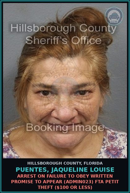 CCW arrest card for PUENTES, JAQUELINE LOUISE in Hillsborough County: ARREST ON FAILURE TO OBEY WRITTEN PROMISE TO APPEAR (ADMIN023) FTA PETIT THEFT ($100 OR LESS)