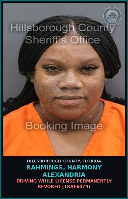 CCW arrest card for RAHMINGS, HARMONY ALEXANDRIA in Hillsborough County: DRIVING WHILE LICENSE PERMANENTLY REVOKED (TRAF6079)