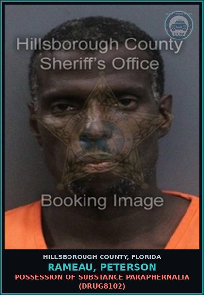 CCW arrest card for RAMEAU, PETERSON in Hillsborough County: POSSESSION OF DRUG PARAPHERNALIA (DRUG8102)