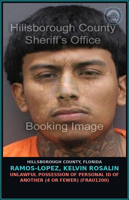 CCW arrest card for RAMOS-LOPEZ, KELVIN ROSALIN in Hillsborough County: RESISTING OFFICER WITHOUT VIOLENCE (COPS1001)