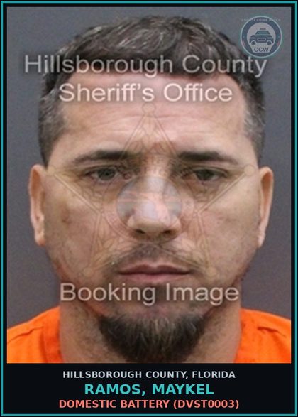 CCW arrest card for RAMOS, MAYKEL in Hillsborough County: DOMESTIC BATTERY (DVST0003)