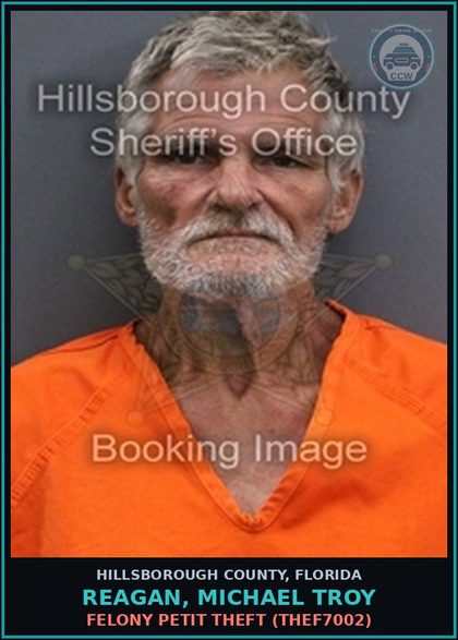 CCW arrest card for REAGAN, MICHAEL TROY in Hillsborough County: FELONY PETIT THEFT (THEF7002)