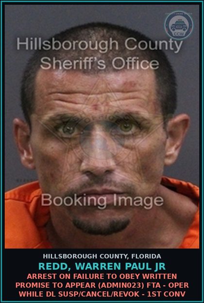 CCW arrest card for REDD, WARREN PAUL JR in Hillsborough County: ARREST ON FAILURE TO OBEY WRITTEN PROMISE TO APPEAR (ADMIN023) FTA - OPER WHILE DL SUSP/CANCEL/REVOK - 1ST CONV