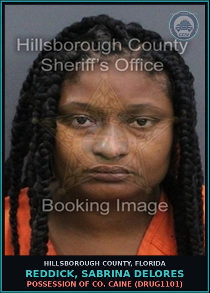 CCW arrest card for REDDICK, SABRINA DELORES in Hillsborough County: POSSESSION OF COCAINE (DRUG1101)