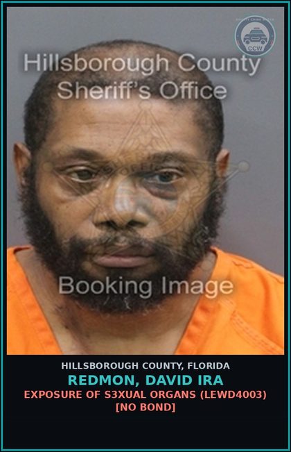 CCW arrest card for REDMON, DAVID IRA in Hillsborough County: EXPOSURE OF s3xual ORGANS (LEWD4003) [NO BOND]