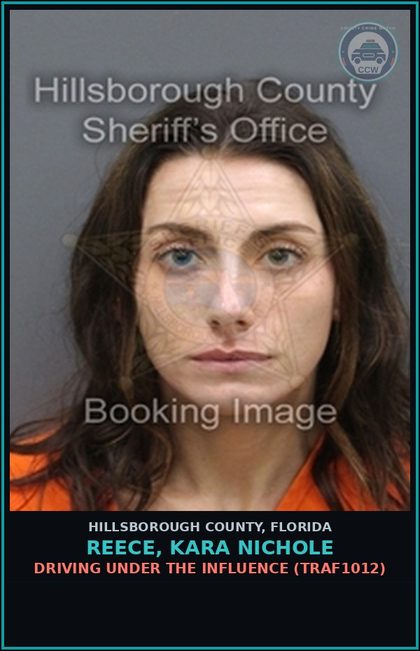 CCW arrest card for REECE, KARA NICHOLE in Hillsborough County: DRIVING UNDER THE INFLUENCE (TRAF1012)