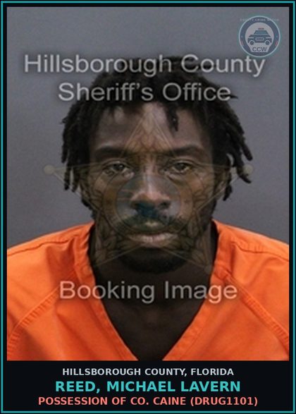 CCW arrest card for REED, MICHAEL LAVERN in Hillsborough County: POSSESSION OF COCAINE (DRUG1101)