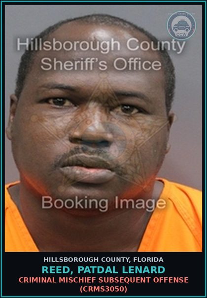 CCW arrest card for REED, PATDAL LENARD in Hillsborough County: CRIMINAL MISCHIEF SUBSEQUENT OFFENSE (CRMS3050)