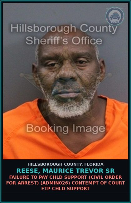 CCW arrest card for REESE, MAURICE TREVOR SR in Hillsborough County: FAILURE TO PAY chld SUPPORT (CIVIL ORDER FOR ARREST) (ADMIN026) CONTEMPT OF COURT FTP chld SUPPORT