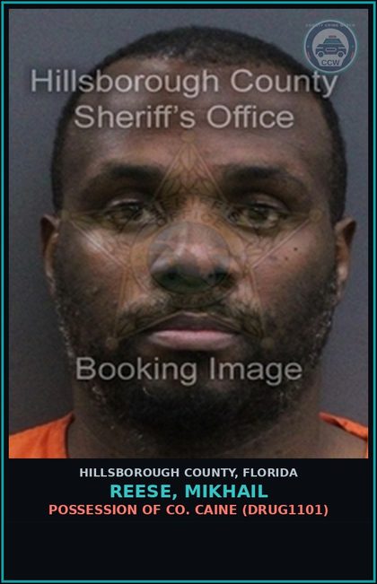 CCW arrest card for REESE, MIKHAIL in Hillsborough County: TPORD 14-52(A) - UNLAWFUL PUBLIC URINATION OR DEFECATION (TPOR0145)