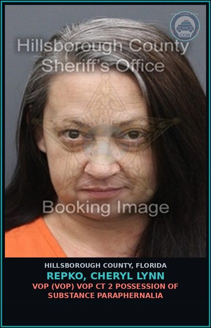 CCW arrest card for REPKO, CHERYL LYNN in Hillsborough County: VOP (VOP) VOP CT 2 POSSESSION OF DRUG PARAPHERNALIA