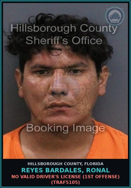 CCW arrest card for REYES BARDALES, RONAL in Hillsborough County: NO VALID DRIVER'S LICENSE (1ST OFFENSE) (TRAF5105)