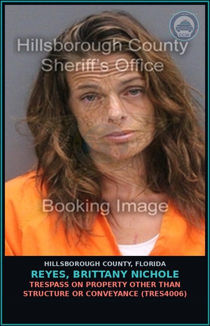 CCW arrest card for REYES, BRITTANY NICHOLE in Hillsborough County: TRESPASS ON PROPERTY OTHER THAN STRUCTURE OR CONVEYANCE (TRES4006)