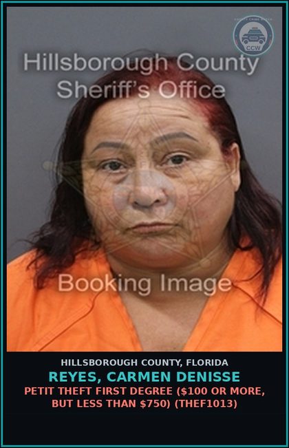 CCW arrest card for REYES, CARMEN DENISSE in Hillsborough County: DRIVING WITH LICENSE CANCELED, SUSPENDED, OR REVOKED (3RD OFFENSE) (TRAF6077)