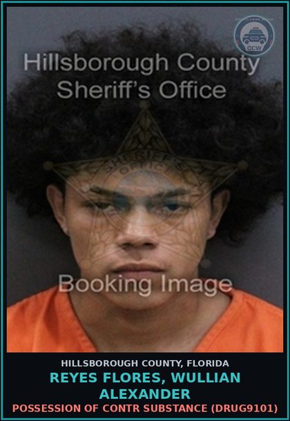 CCW arrest card for REYES FLORES, WULLIAN ALEXANDER in Hillsborough County: POSSESSION OF contr substance (DRUG9101)