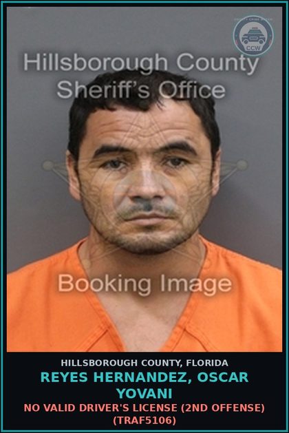 CCW arrest card for REYES HERNANDEZ, OSCAR YOVANI in Hillsborough County: NO VALID DRIVER'S LICENSE (2ND OFFENSE) (TRAF5106)