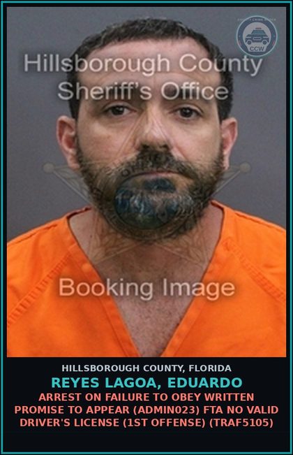 CCW arrest card for REYES LAGOA, EDUARDO in Hillsborough County: ARREST ON FAILURE TO OBEY WRITTEN PROMISE TO APPEAR (ADMIN023) FTA NO VALID DRIVER'S LICENSE (1ST OFFENSE) (TRAF5105)