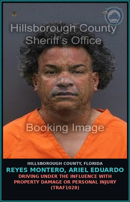 CCW arrest card for REYES MONTERO, ARIEL EDUARDO in Hillsborough County: DRIVING UNDER THE INFLUENCE WITH PROPERTY DAMAGE OR PERSONAL INJURY (TRAF1028)