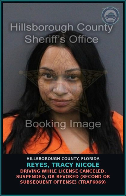 CCW arrest card for REYES, TRACY NICOLE in Hillsborough County: DRIVING WHILE LICENSE CANCELED, SUSPENDED, OR REVOKED (SECOND OR SUBSEQUENT OFFENSE) (TRAF6069)