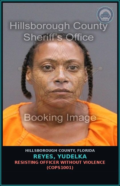 CCW arrest card for REYES, YUDELKA in Hillsborough County: RESISTING OFFICER WITHOUT VIOLENCE (COPS1001)