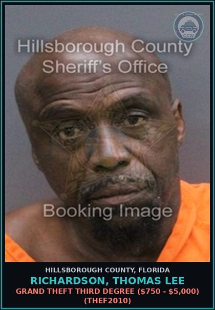 CCW arrest card for RICHARDSON, THOMAS LEE in Hillsborough County: POSSESSION OF COCAINE (DRUG1101)