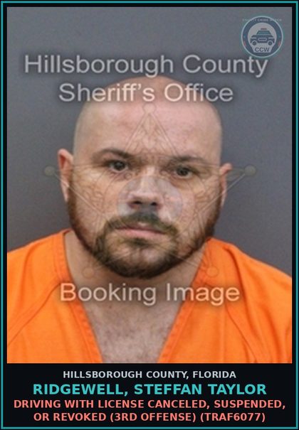 CCW arrest card for RIDGEWELL, STEFFAN TAYLOR in Hillsborough County: DRIVING WITH LICENSE CANCELED, SUSPENDED, OR REVOKED (3RD OFFENSE) (TRAF6077)