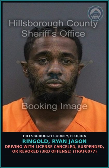 CCW arrest card for RINGOLD, RYAN JASON in Hillsborough County: DRIVING WITH LICENSE CANCELED, SUSPENDED, OR REVOKED (3RD OFFENSE) (TRAF6077)