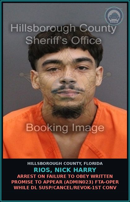 CCW arrest card for RIOS, NICK HARRY in Hillsborough County: ARREST ON FAILURE TO OBEY WRITTEN PROMISE TO APPEAR (ADMIN023) FTA-OPER WHILE DL SUSP/CANCEL/REVOK-1ST CONV