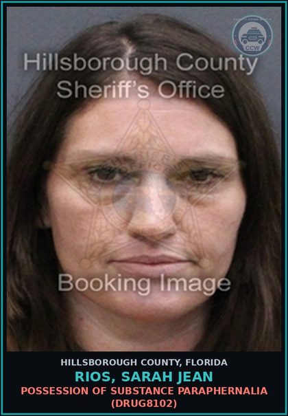 CCW arrest card for RIOS, SARAH JEAN in Hillsborough County: POSSESSION OF DRUG PARAPHERNALIA (DRUG8102)