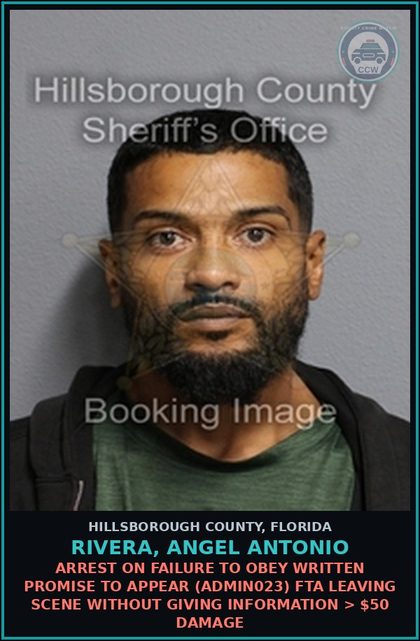 CCW arrest card for RIVERA, ANGEL ANTONIO in Hillsborough County: ARREST ON FAILURE TO OBEY WRITTEN PROMISE TO APPEAR (ADMIN023) FTA LEAVING SCENE WITHOUT GIVING INFORMATION > $50 DAMAGE