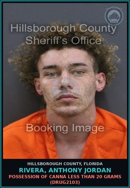 CCW arrest card for RIVERA, ANTHONY JORDAN in Hillsborough County: POSSESSION OF Canna LESS THAN 20 GRAMS (DRUG2103)