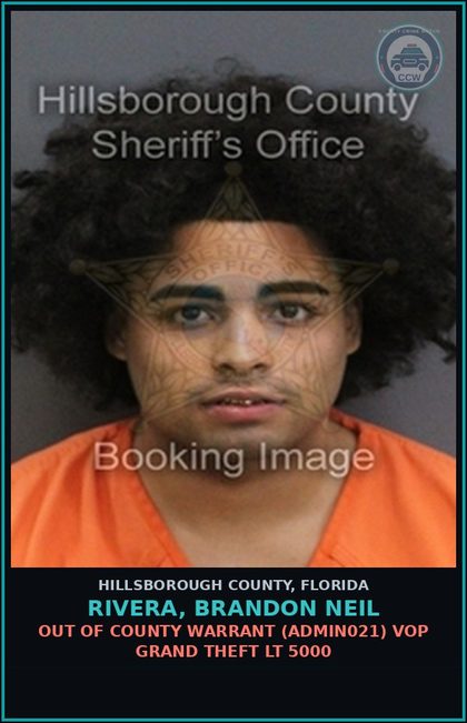 CCW arrest card for RIVERA, BRANDON NEIL in Hillsborough County: OUT OF COUNTY WARRANT (ADMIN021) VOP GRAND THEFT LT 5000