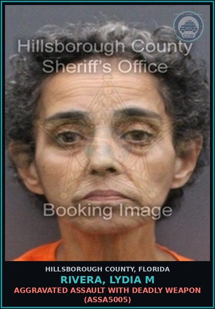 CCW arrest card for RIVERA, LYDIA M in Hillsborough County: DOMESTIC BATTERY (DVST0003)