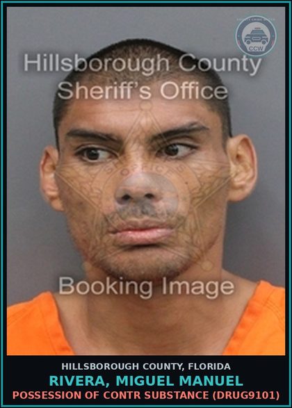 CCW arrest card for RIVERA, MIGUEL MANUEL in Hillsborough County: POSSESSION OF contr substance (DRUG9101)