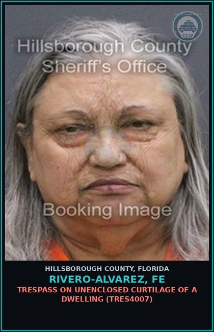 CCW arrest card for RIVERO-ALVAREZ, FE in Hillsborough County: TRESPASS ON UNENCLOSED CURTILAGE OF A DWELLING (TRES4007)