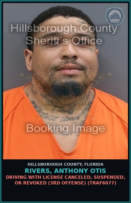 CCW arrest card for RIVERS, ANTHONY OTIS in Hillsborough County: DRIVING WITH LICENSE CANCELED, SUSPENDED, OR REVOKED (3RD OFFENSE) (TRAF6077)